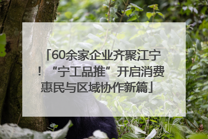 60余家企业齐聚江宁！“宁工品推”开启消费惠民与区域协作新篇