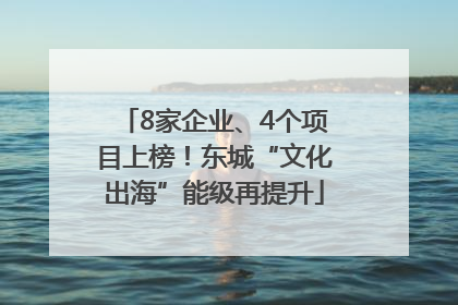 8家企业、4个项目上榜！东城“文化出海”能级再提升