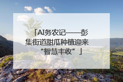 AI务农记——彭集街道甜瓜种植迎来“智慧丰收”