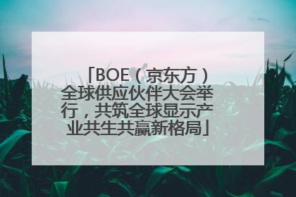 BOE（京东方）全球供应伙伴大会举行，共筑全球显示产业共生共赢新格局